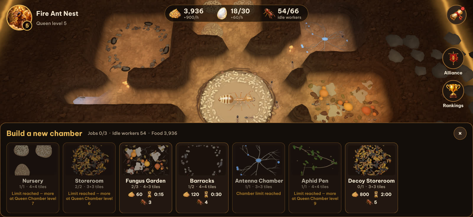 Choosing a new chamber to build in the nest